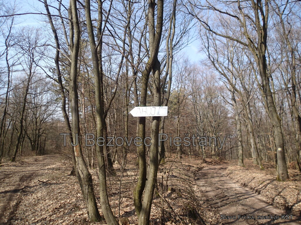Pod-Lipinou-stara-drevena-tabulka-oznacujuca-odbocku-k-rekreacnemu-zariadeniu-AHOJ